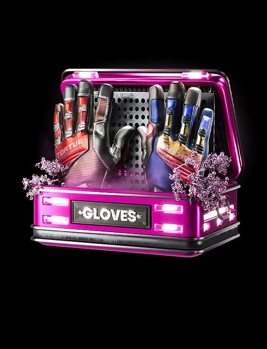 GLOVES