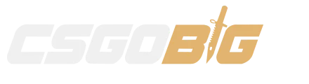CSGOBig